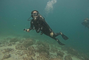 Puerto Vallarta: Los Arcos de Mismaloya, buceo para principiantes.