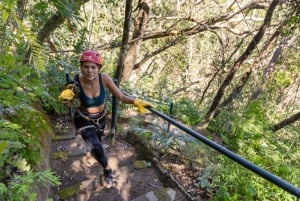 Puerto Vallarta: Aventura en Tirolina en Los Veranos