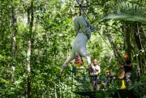 Puerto Vallarta: Aventura en Tirolina en Los Veranos