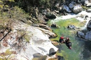 Puerto Vallarta: Aventura en Tirolina en Los Veranos