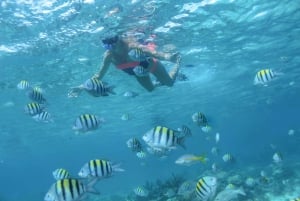 Puerto Vallarta: Luxury Sailing Trip with Snorkel