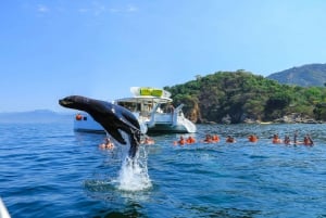 Puerto Vallarta: Luxury Sailing Trip with Snorkel