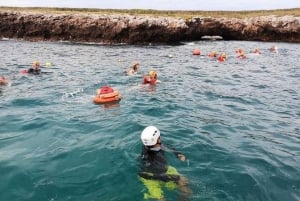 Puerto Vallarta: Esnórquel en las Islas Marietas y Playa Escondida