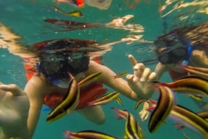 Puerto Vallarta: Marietas Islands Snorkel Cruise with Drinks