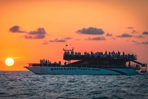 Puerto Vallarta: Mega Yacht Whale Watching Sunset Cruise