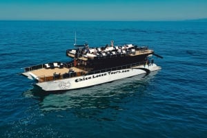 Puerto Vallarta: Mega Yacht Whale Watching Sunset Cruise