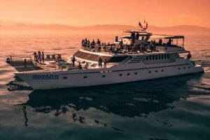 Puerto Vallarta: Mega Yacht Whale Watching Sunset Cruise
