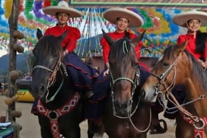 Puerto Vallarta: Noche de Fiesta Mexicana en las Montañas