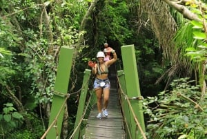 Puerto Vallarta: Expedición a la Montaña, Paseo en Mula por Tequila