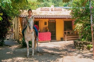 Puerto Vallarta: Mountain Waterfall Horseback Riding Tour