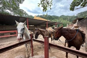 Puerto Vallarta: Mountain Waterfall Horseback Riding Tour