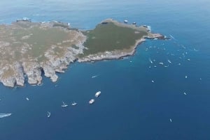 Excursión a las Islas Marietas con Playa Nopalera - Barra libre