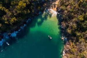 Puerto Vallarta: Aventura en Catamarán con Depredadores