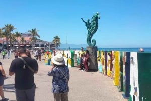 Puerto Vallarta: Private City Tour and Tequila Tasting