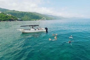 Puerto Vallarta: Private Fishing Adventure 30 ft Superpanga