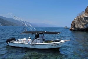 Puerto Vallarta: Private Ocean Adventure