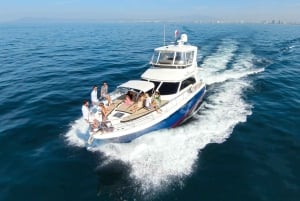 Puerto Vallarta: Private Yacht Charter (up to 12 guests)