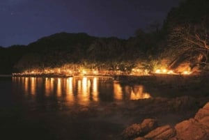 Puerto Vallarta: Experiencia Ritmos de la Noche