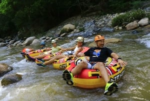 Puerto Vallarta: River Expedition, ZipLine, Tequila Tour