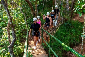 Puerto Vallarta: River Expedition, ZipLine, Tequila Tour