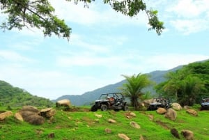 Puerto Vallarta: RZR Canopy River