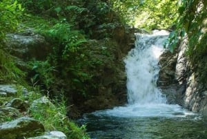 Puerto Vallarta: RZR Río Cuale