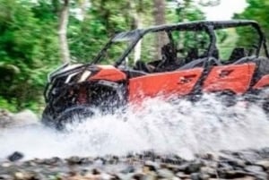 Puerto Vallarta: RZR Vikingo El Edén