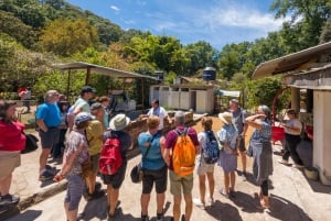 Puerto Vallarta: San Sebastián del Oeste con Comida y Degustación Tequila