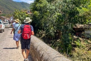 Puerto Vallarta: San Sebastián del Oeste con Comida y Degustación Tequila