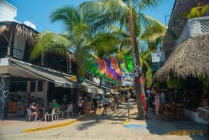 Puerto Vallarta: Excursión a las Playas de Sayulita y San Pancho