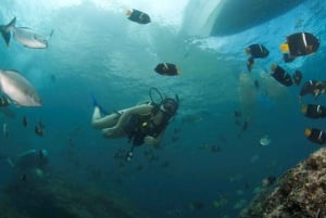 Puerto Vallarta: Bucea en Las Caletas