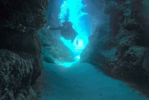 Puerto Vallarta: Bucea en Las Caletas