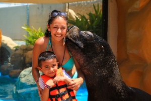 Puerto Vallarta: Sea Lion Discovery