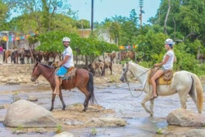 Puerto Vallarta: Sea Safari & Horseback Riding