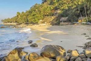 Puerto Vallarta: Safari Marino y Paseos a Caballo