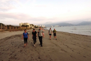 Puerto Vallarta: Sea turtle release at Sunset