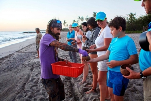 Puerto Vallarta: Sea turtle release at Sunset