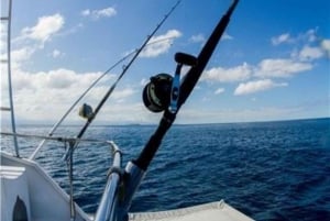 Puerto Vallarta: Shared Fishing