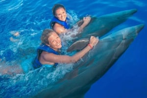 Puerto Vallarta: Signature Swim with Dolphins