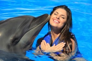 Puerto Vallarta: Signature Swim with Dolphins