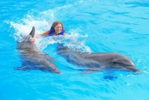 Puerto Vallarta: Signature Swim with Dolphins