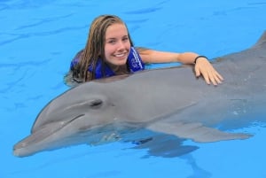 Puerto Vallarta: Signature Swim with Dolphins