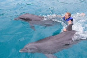 Puerto Vallarta: Signature Swim with Dolphins