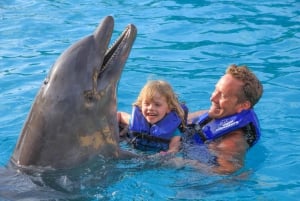 Puerto Vallarta: Signature Swim with Dolphins