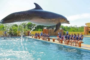 Puerto Vallarta: Signature Swim with Dolphins