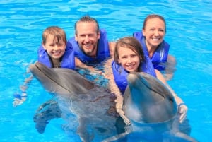 Puerto Vallarta: Signature Swim with Dolphins