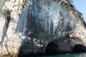 Puerto Vallarta: Snorkel Adventure at Los Arcos