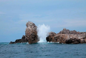 Puerto Vallarta: Snorkeling, Beach, Sailing to Marietas Park