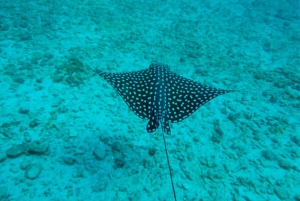 Puerto Vallarta: Snorkeling, Beach, Sailing to Marietas Park