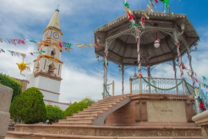 Tour por la Ciudad de Puerto Vallarta